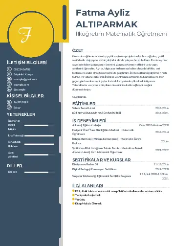 Matematik Öğretmeni Cv Örnekleri cv indir